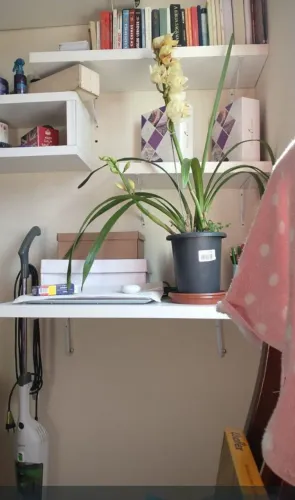 Vendo prateleiras de livro e de mesa