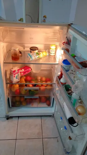 Vende uma geladeira
