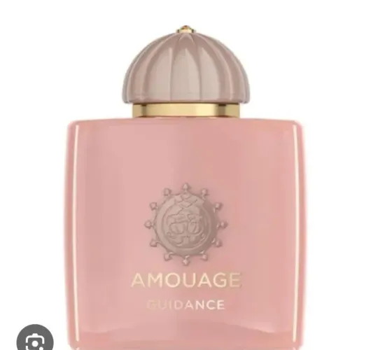 Guidance amouge