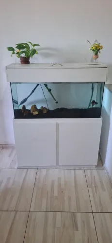 Aquário 150 litros