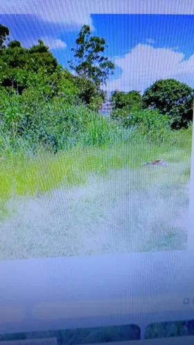 terreno