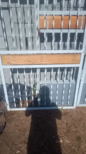 Portão de ferro