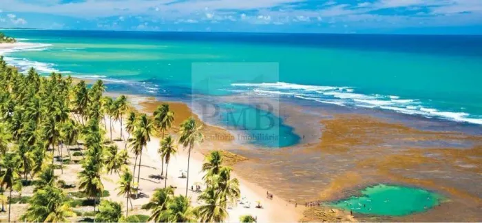 Terreno para Venda em Mata de São João, PRAIA DO FORTE