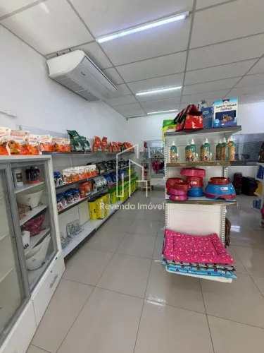 Pet Shop Completo à Venda na Vila Moraes - Oportunidade Única em São Paulo - 8 Anos de Ope