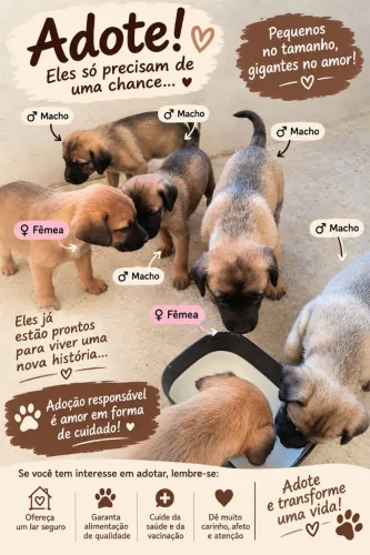 ADOÇÃO RESPONSÁVEL 