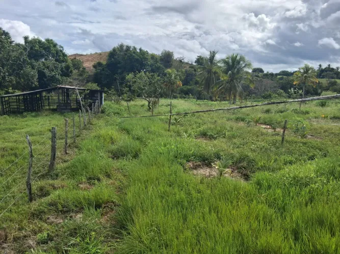 VENDO PROPRIEDADE, RIACHOS ,VÁRIAS FRUTEIRAS IRRIGADAS, PASTOS, 15 TAREFAS , ESTÂNCIA/SE