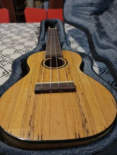 Ukulele com case