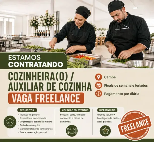 VAGA FREELACER
