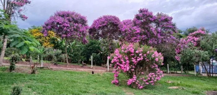 VENDO CHACARA - CACAPAVA