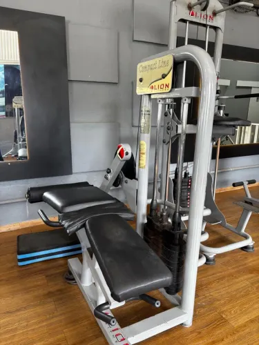 Mesa flexora