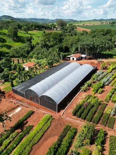 ESTUFAS AGRÍCOLAS  