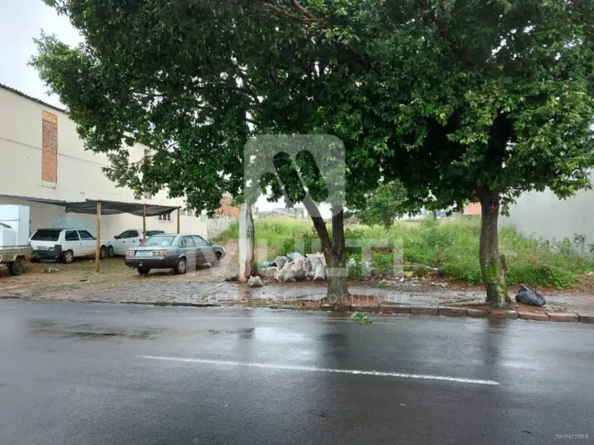 Terreno - MARTINS