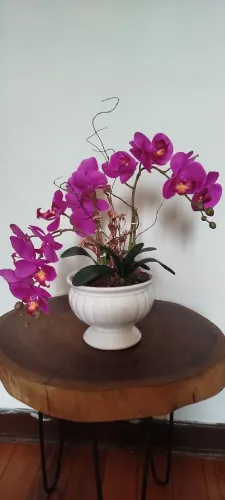 Arranjos permanentes lindos ótimo preço 