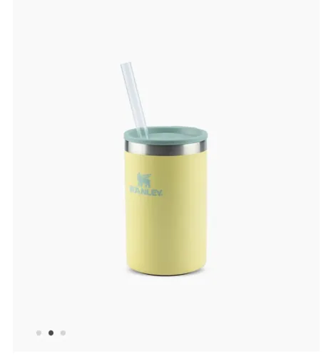 Can Cooler com canudo Stanley