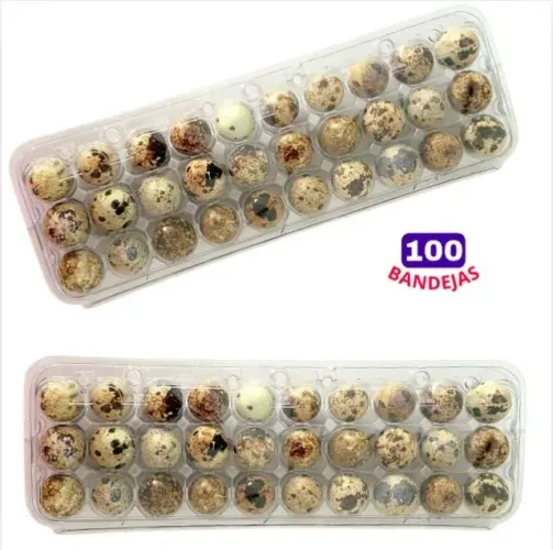 embalagem para ovos de codorna kit com 100 unidades