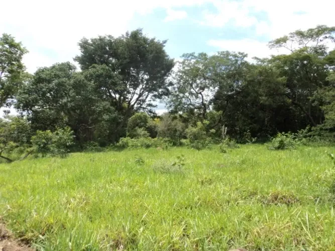Florestal - 23.300 m² - R$ 20.000,00 de entrada 