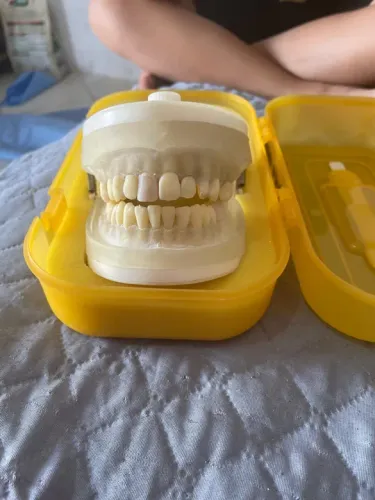 Manequim de perio e dentistica 