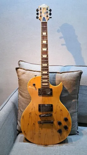 Guitarra Les Paul Hurricane - Excelente custo benefício