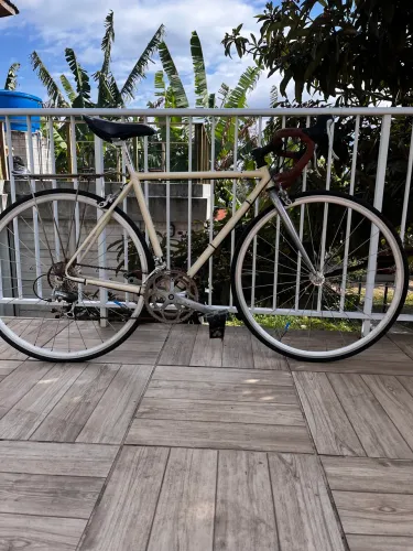 Bicicleta Bernardi Speed/Vintage Cromoly / TAM 48