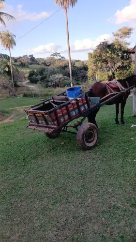 Carroça 