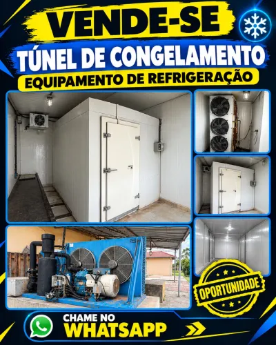 Túnel de congelamento