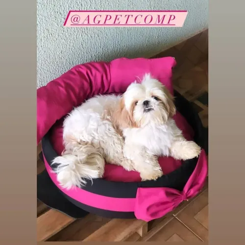 Cama Pet de Pneu Rosa
