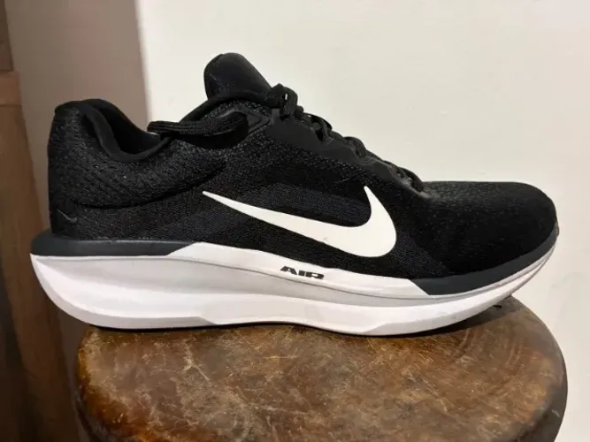 Tênis Nike Winflo 11