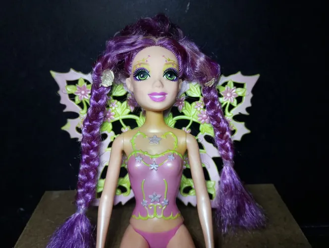 Boneca Barbie Fairytopia: A Magia Glee 2006