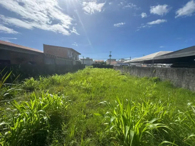 Terreno com Viabilidade de Construção