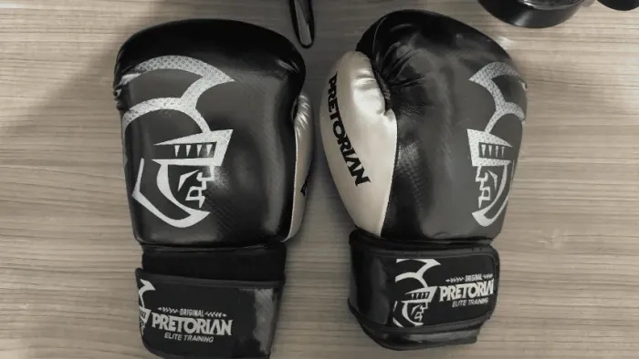 Luvas de Boxe/Muay Thai 14oz - Original Pretorian