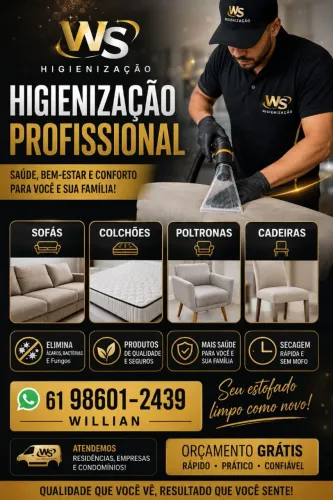 Ws higienização sofá
