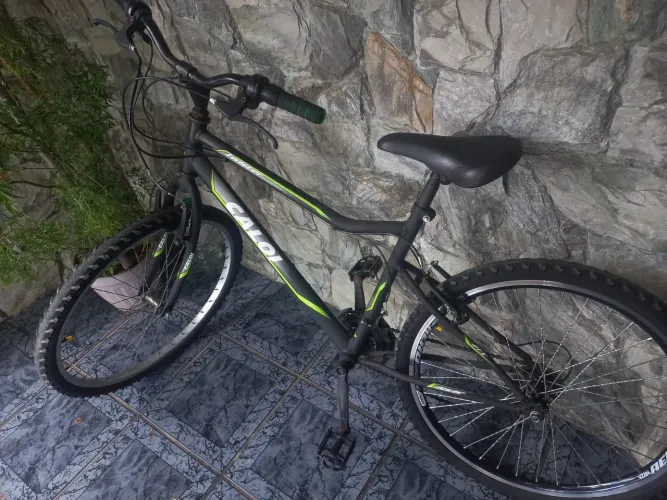 Bicicleta Calói