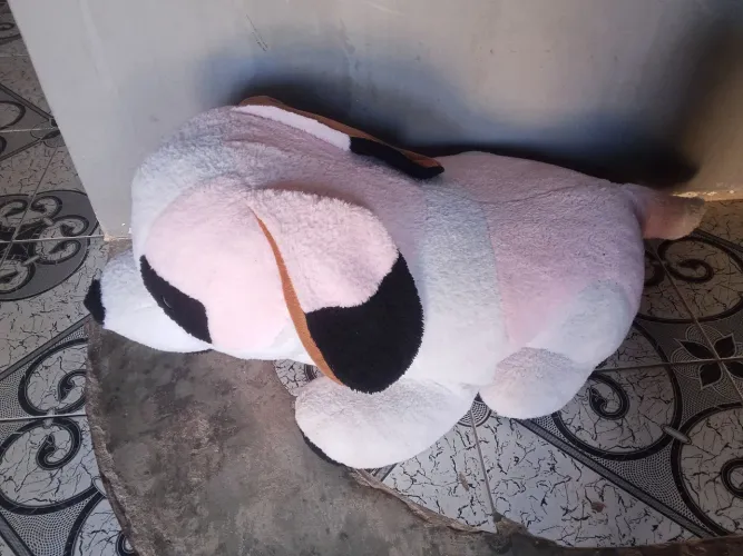 Urso novo , estou vendendo por desapego