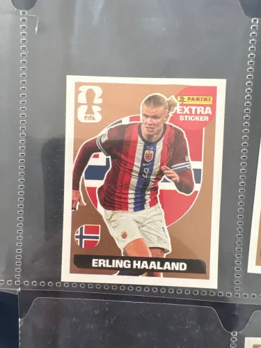 Einling Haaland bronze legend 2026