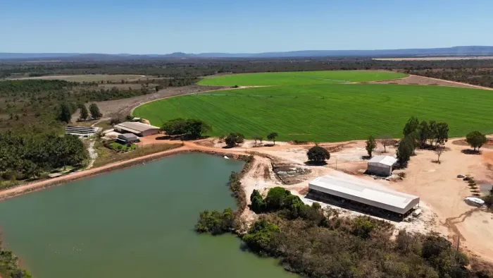 FAZENDA EM ARINOS-MG 1.245 HA | 612 HA IRRIGADOS | 10 PIVÔS |