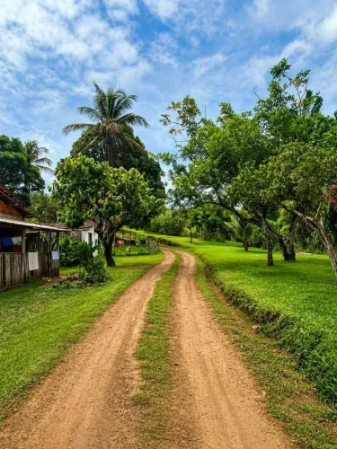 Vendo Terreno no Bairro rural Camboinha em Itacaré - Sul da Bahia