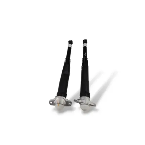 Par Amortecedor Traseiro T-cross Tsi 1.0 2qb512013m Orig