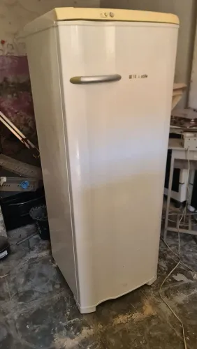 Geladeira Electrolux 320L 