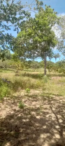 TERRENO À VENDA. EXCELENTE OPORTUNIDADE