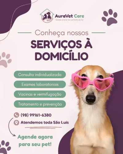 VETERINÁRIO EM SÃO LUÍS (EM CASA!!)