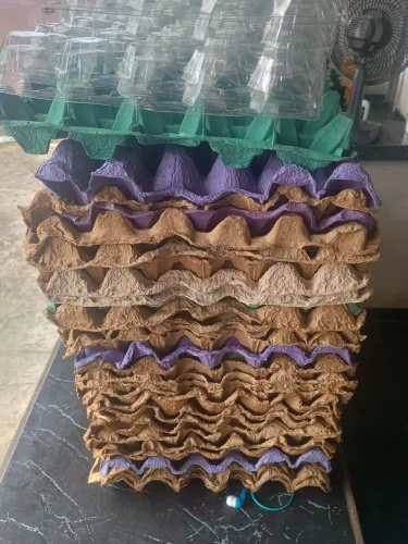 Vendo cartela de ovos seca 