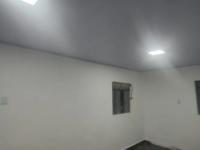 Pintor profissional 