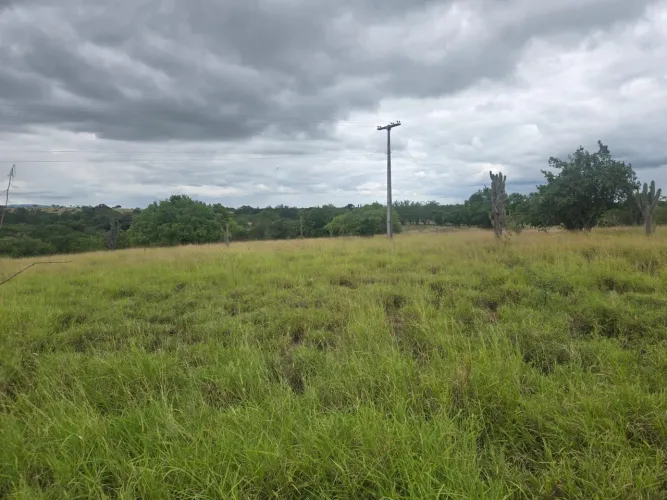 Excelente fazenda de, aproximadas, 1200t, casa simples, curral, boas aguadas e rio permane