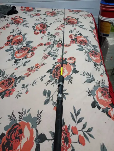 Vara de pesca