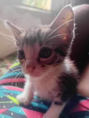 Doa-se