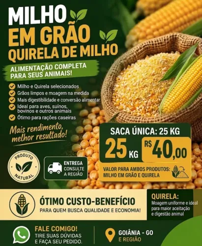 Milho em grão e Quirela