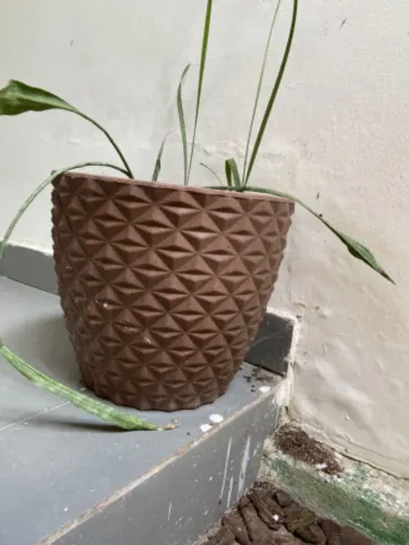 Vaso
