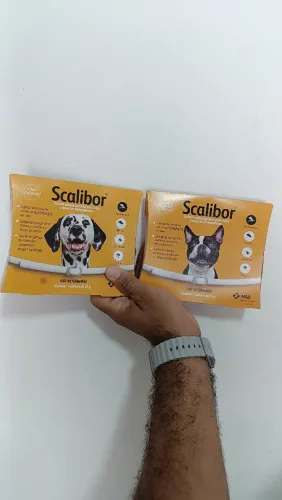Coleira scalibor