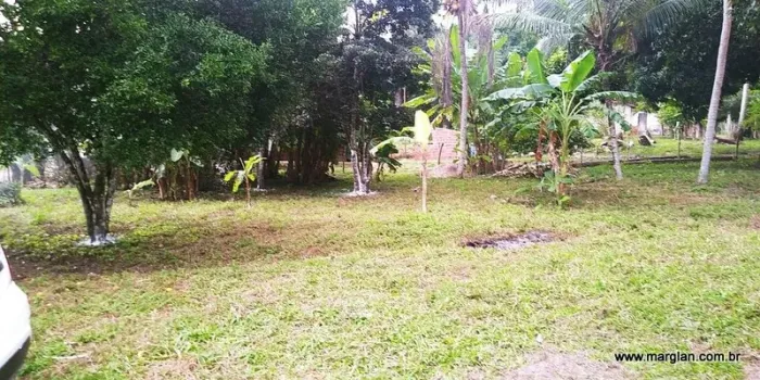 Terreno com 14 tarefas, incluindo casa, área de mata e brejo
