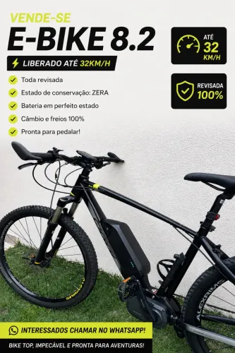 E-bike Oggi 8.2